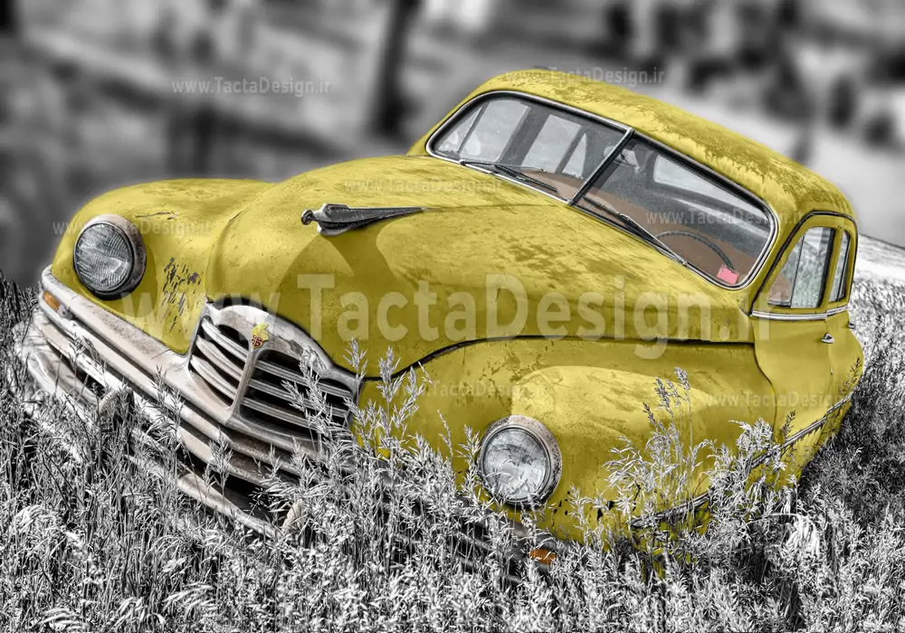 ماشین زرد قدیمی در میان بوته ها