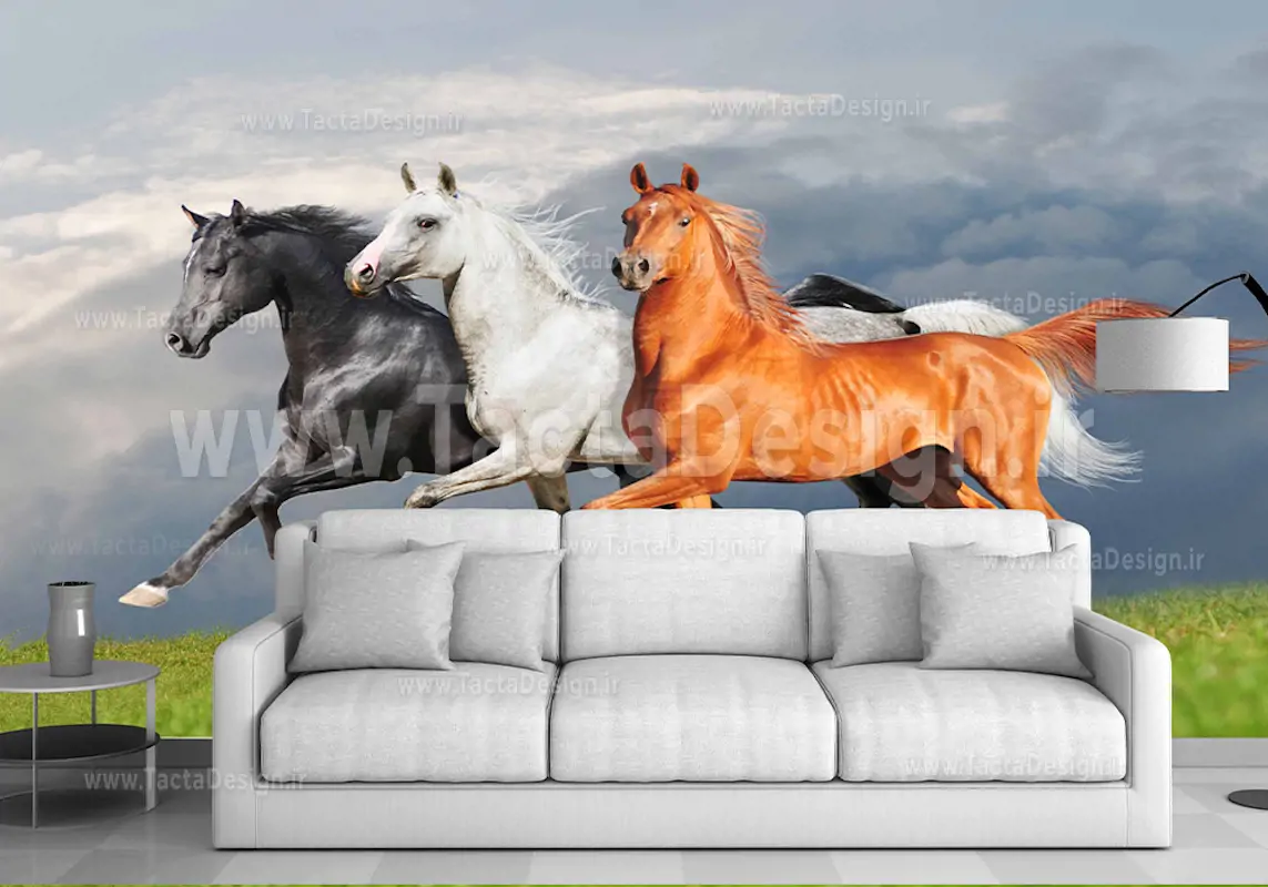 سه اسب در رنگ های مشکی سفید و قهوه ای درون چمن زار